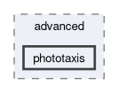 example/advanced/phototaxis